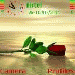 wap199.xtgem.com